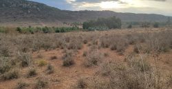 5 acres In Thigio Kamangu