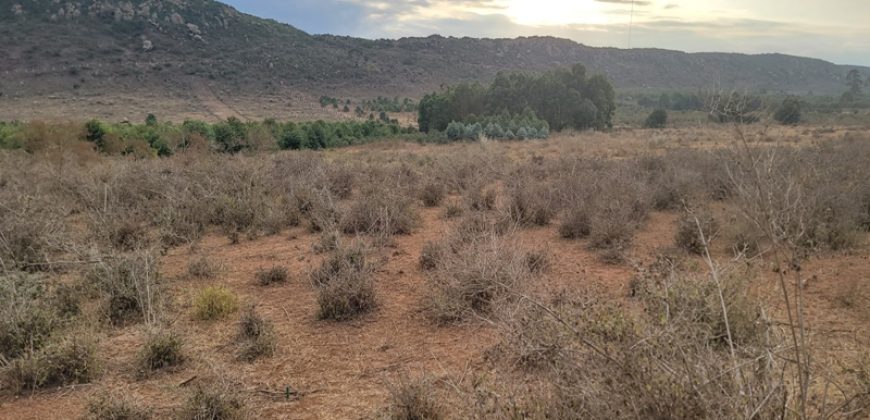 5 acres In Thigio Kamangu