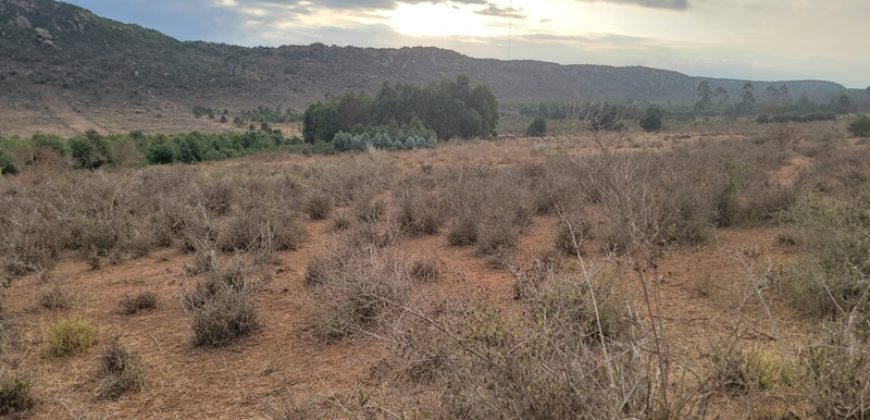 5 acres In Thigio Kamangu