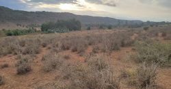 5 acres In Thigio Kamangu