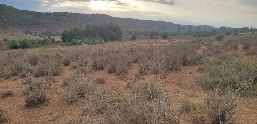 5 acres In Thigio Kamangu
