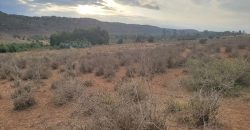 5 acres In Thigio Kamangu
