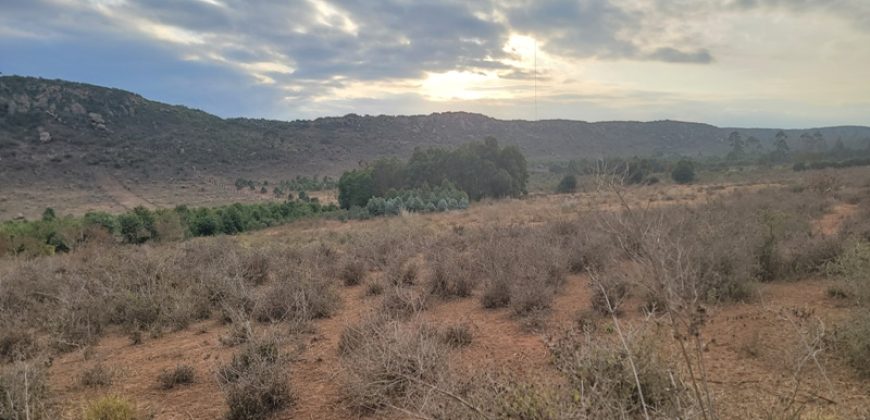 5 acres In Thigio Kamangu