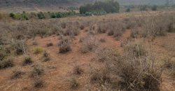 5 acres In Thigio Kamangu
