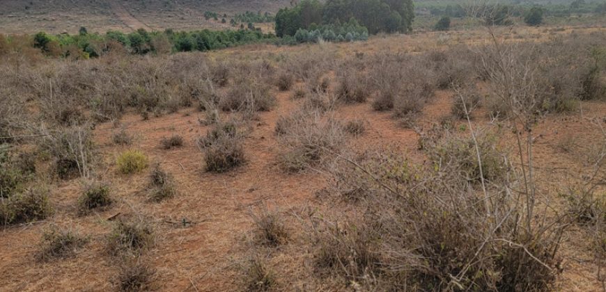 5 acres In Thigio Kamangu