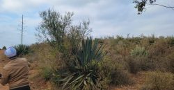 5 acres In Thigio Kamangu
