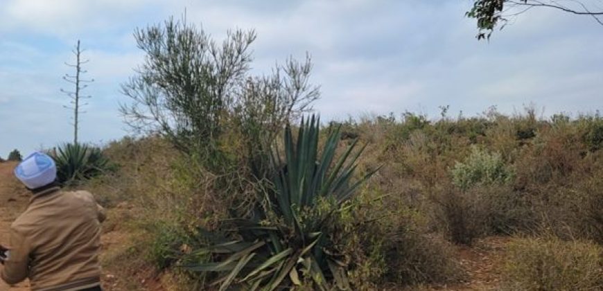 5 acres In Thigio Kamangu