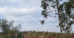 5 acres In Thigio Kamangu