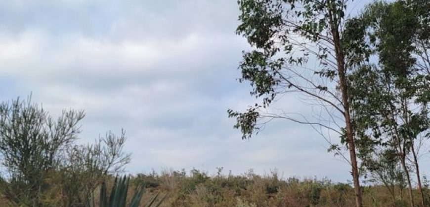 5 acres In Thigio Kamangu