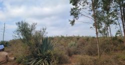 5 acres In Thigio Kamangu