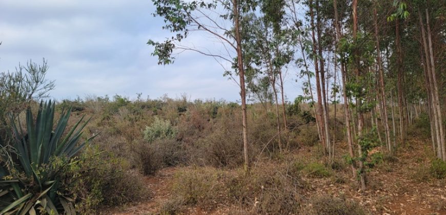 5 acres In Thigio Kamangu