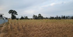 5 acres In Thigio Kamangu Touching Tarmac