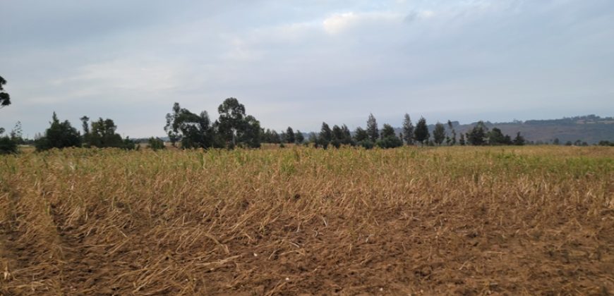 5 acres In Thigio Kamangu Touching Tarmac