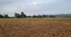 5 acres In Thigio Kamangu Touching Tarmac