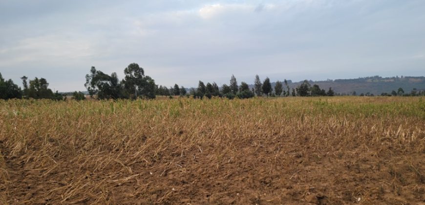 5 acres In Thigio Kamangu Touching Tarmac