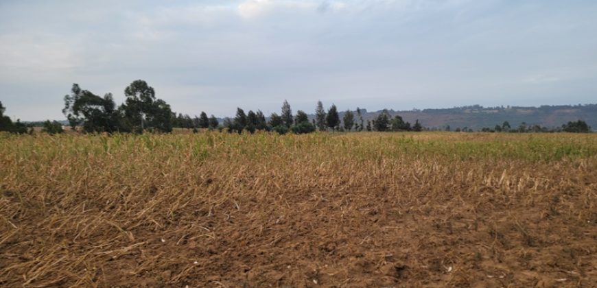 5 acres In Thigio Kamangu Touching Tarmac