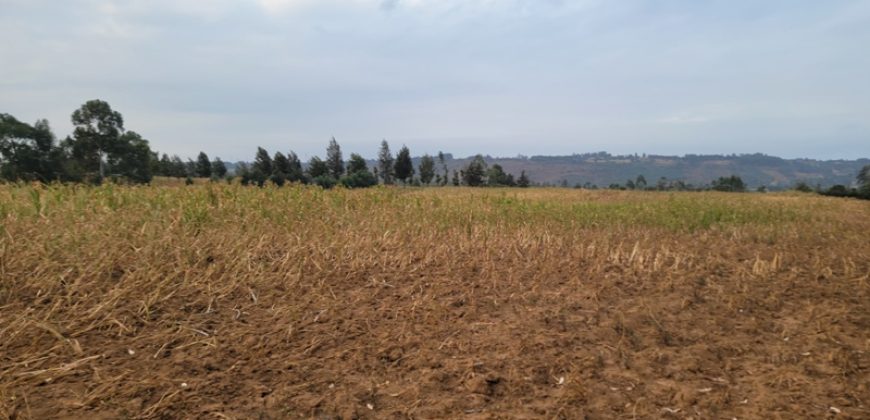 5 acres In Thigio Kamangu Touching Tarmac