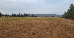 5 acres In Thigio Kamangu Touching Tarmac
