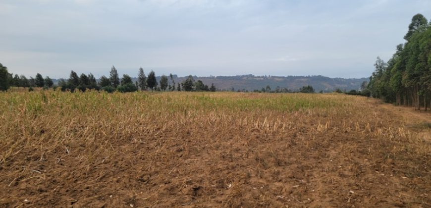 5 acres In Thigio Kamangu Touching Tarmac
