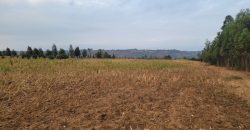 5 acres In Thigio Kamangu Touching Tarmac