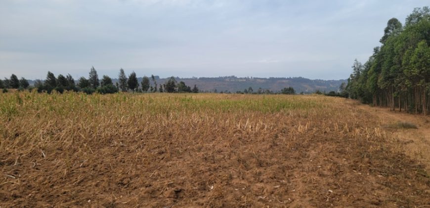 5 acres In Thigio Kamangu Touching Tarmac