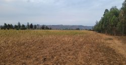 5 acres In Thigio Kamangu Touching Tarmac