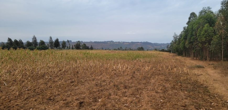 5 acres In Thigio Kamangu Touching Tarmac