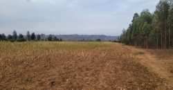 5 acres In Thigio Kamangu Touching Tarmac