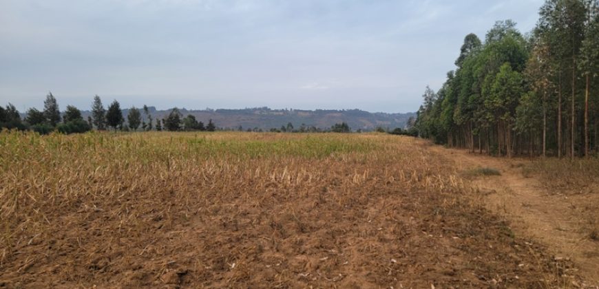 5 acres In Thigio Kamangu Touching Tarmac
