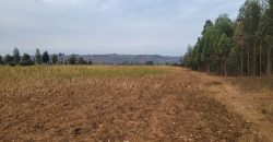 5 acres In Thigio Kamangu Touching Tarmac