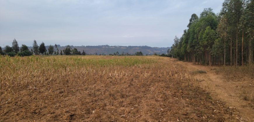 5 acres In Thigio Kamangu Touching Tarmac