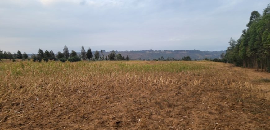 5 acres In Thigio Kamangu Touching Tarmac