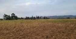 5 acres In Thigio Kamangu Touching Tarmac