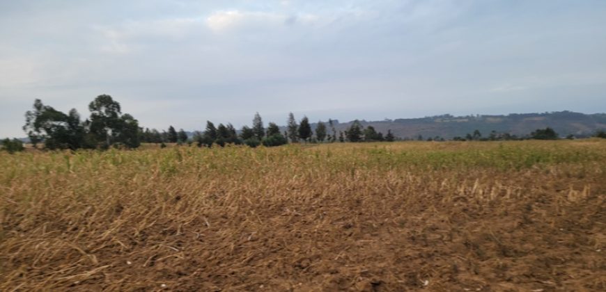 5 acres In Thigio Kamangu Touching Tarmac
