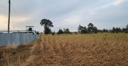 5 acres In Thigio Kamangu Touching Tarmac