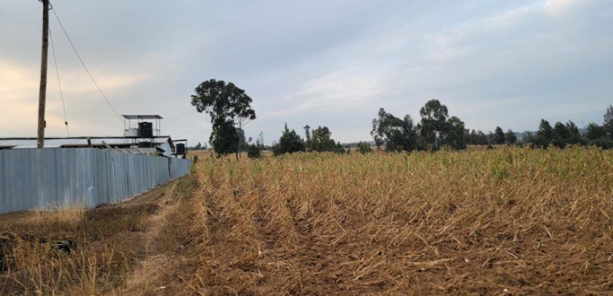 5 acres In Thigio Kamangu Touching Tarmac