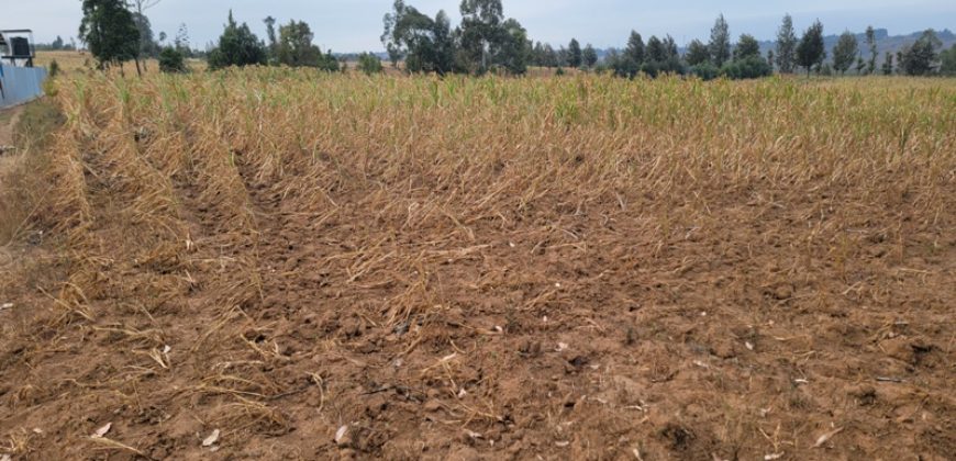 5 acres In Thigio Kamangu Touching Tarmac