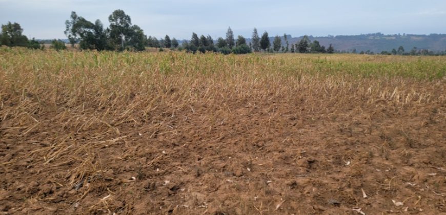 5 acres In Thigio Kamangu Touching Tarmac