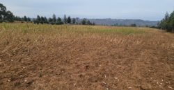 5 acres In Thigio Kamangu Touching Tarmac