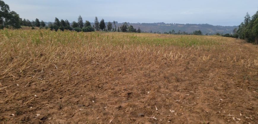 5 acres In Thigio Kamangu Touching Tarmac