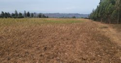 5 acres In Thigio Kamangu Touching Tarmac