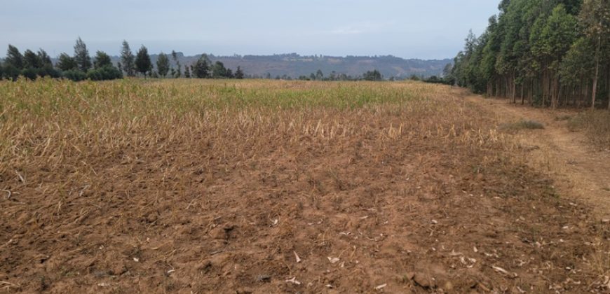 5 acres In Thigio Kamangu Touching Tarmac