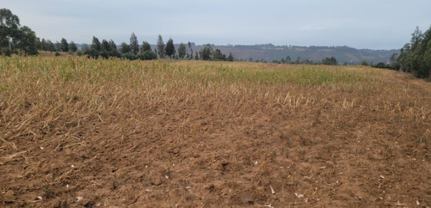 5 acres In Thigio Kamangu Touching Tarmac