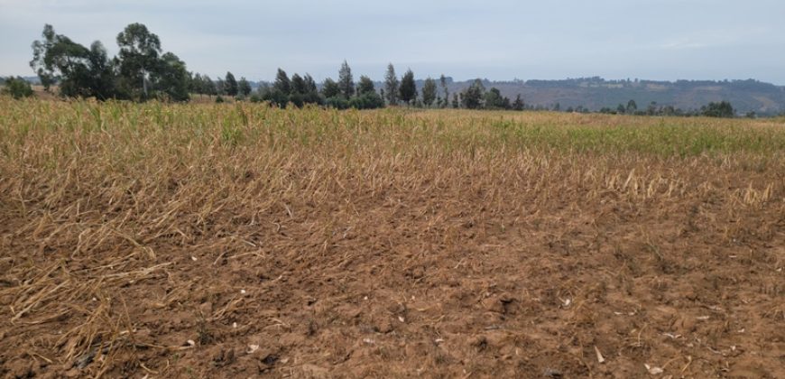 5 acres In Thigio Kamangu Touching Tarmac