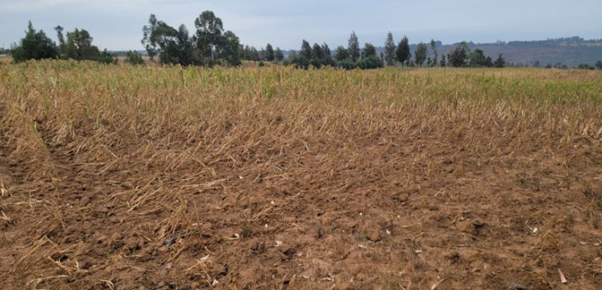 5 acres In Thigio Kamangu Touching Tarmac