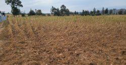 5 acres In Thigio Kamangu Touching Tarmac