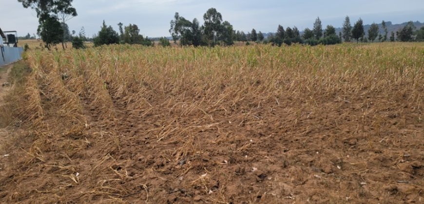 5 acres In Thigio Kamangu Touching Tarmac