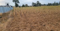 5 acres In Thigio Kamangu Touching Tarmac