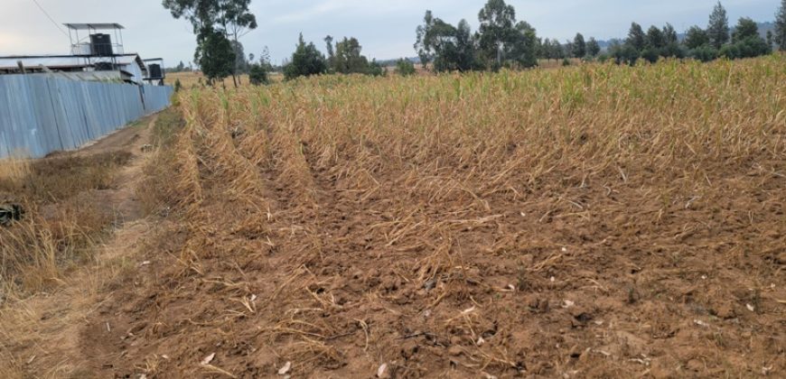 5 acres In Thigio Kamangu Touching Tarmac