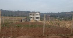 5 acres In Thigio Kamangu (Fenced)